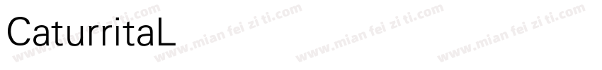 CaturritaLightDispla字体转换