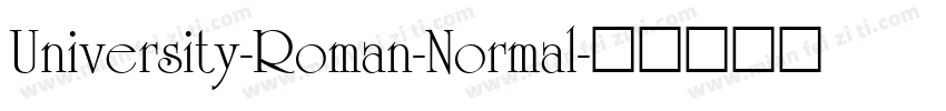 University-Roman-Normal字体转换