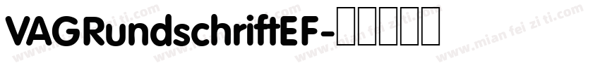 VAGRundschriftEF字体转换