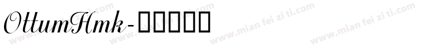 OttumHmk字体转换