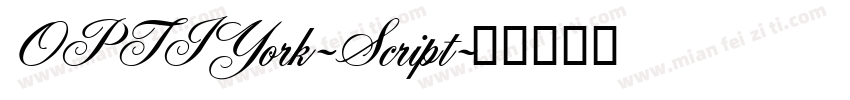 OPTIYork-Script字体转换