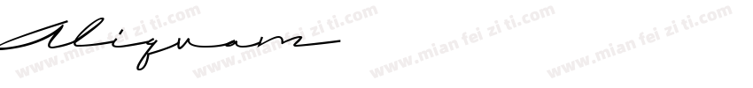 Aliquam字体转换