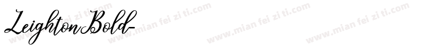 LeightonBold字体转换