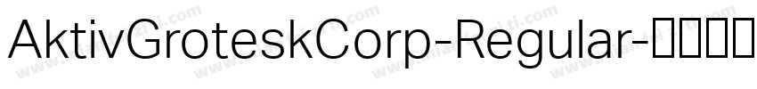 AktivGroteskCorp-Regular字体转换