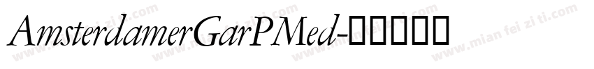 AmsterdamerGarPMed字体转换