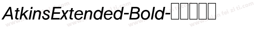 AtkinsExtended-Bold字体转换