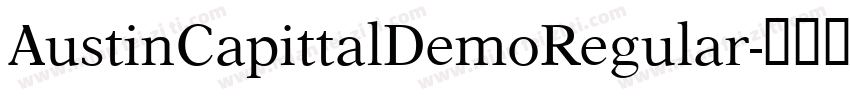 AustinCapittalDemoRegular字体转换