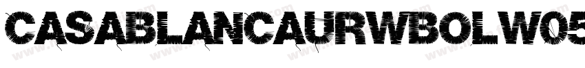 CasablancaURWBolW05-字体转换