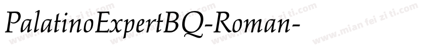 PalatinoExpertBQ-Roman字体转换