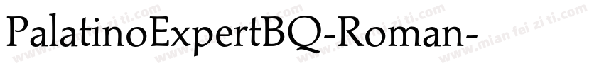 PalatinoExpertBQ-Roman字体转换