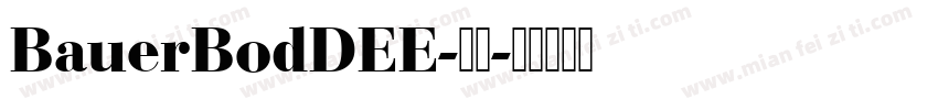 BauerBodDEE-常规字体转换