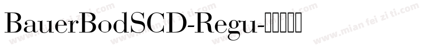 BauerBodSCD-Regu字体转换