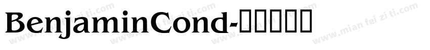 BenjaminCond字体转换