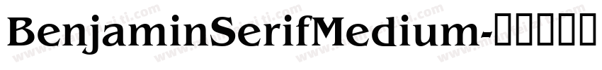 BenjaminSerifMedium字体转换 BenjaminSerifMedium字体转换