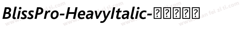 BlissPro-HeavyItalic字体转换
