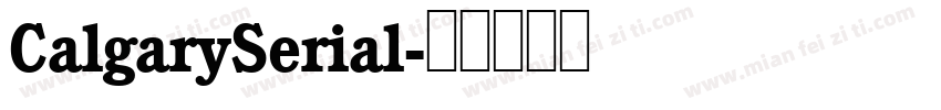 CalgarySerial字体转换