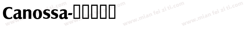 Canossa字体转换