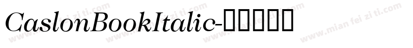 CaslonBookItalic字体转换
