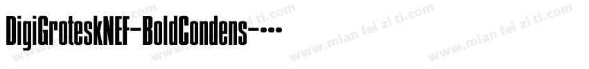 DigiGroteskNEF-BoldCondens字体转换