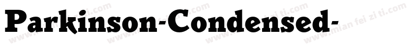 Parkinson-Condensed字体转换