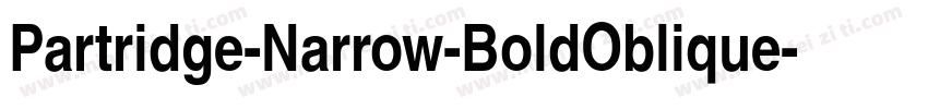Partridge-Narrow-BoldOblique字体转换