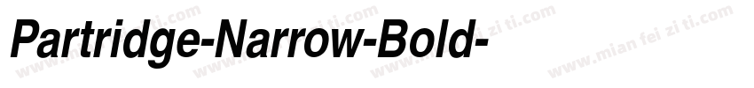 Partridge-Narrow-Bold字体转换