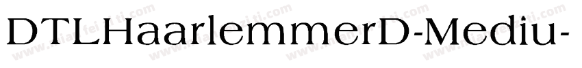 DTLHaarlemmerD-Mediu字体转换