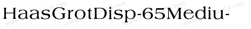 HaasGrotDisp-65Mediu字体转换