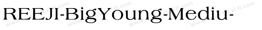 REEJI-BigYoung-Mediu字体转换