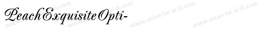 PeachExquisiteOpti字体转换