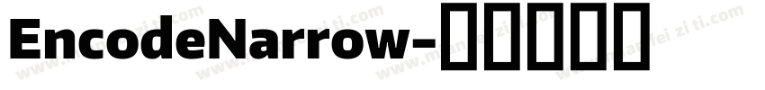 EncodeNarrow字体转换