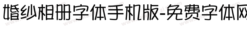婚纱相册字体手机版字体转换
