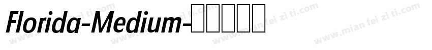 Florida-Medium字体转换