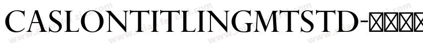 CaslonTitlingMTStd字体转换