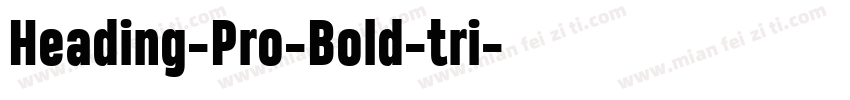 Heading-Pro-Bold-tri字体转换