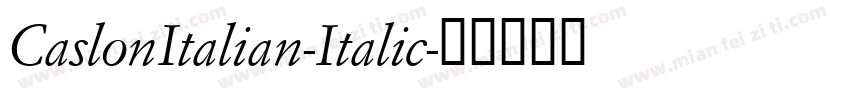 CaslonItalian-Italic字体转换