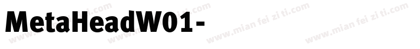 MetaHeadW01字体转换
