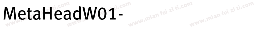 MetaHeadW01字体转换