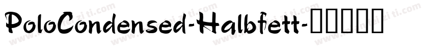 PoloCondensed-Halbfett字体转换