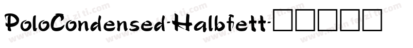 PoloCondensed-Halbfett字体转换