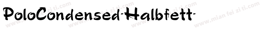 PoloCondensed-Halbfett字体转换