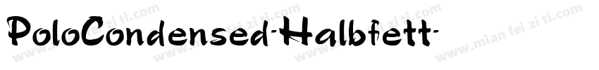 PoloCondensed-Halbfett字体转换