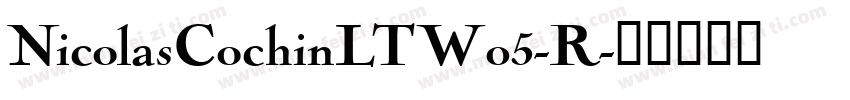 NicolasCochinLTW05-R字体转换