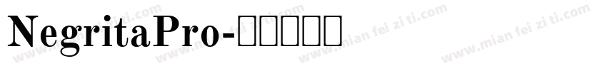 NegritaPro字体转换