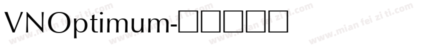 VNOptimum字体转换