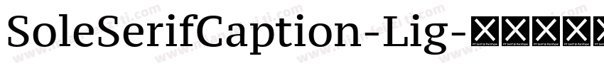 SoleSerifCaption-Lig字体转换