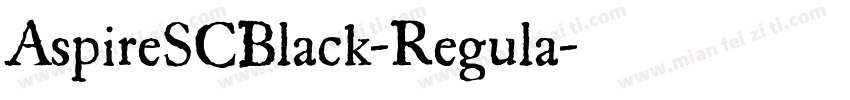 AspireSCBlack-Regula字体转换