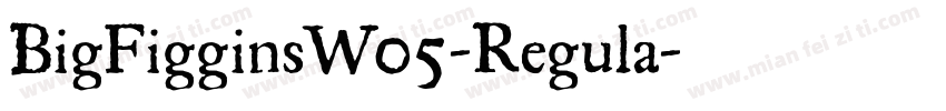 BigFigginsW05-Regula字体转换
