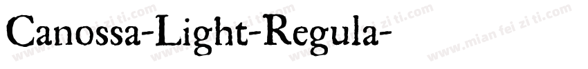 Canossa-Light-Regula字体转换