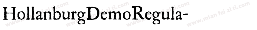 HollanburgDemoRegula字体转换